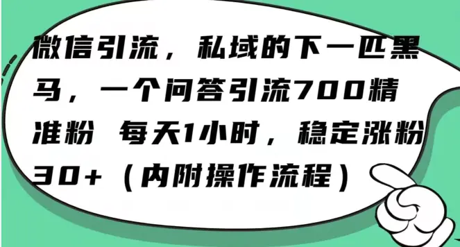 图片[1]-怎么搞精准创业粉？微信新赛道，每天一小时，利用Ai一个问答日引100精准粉