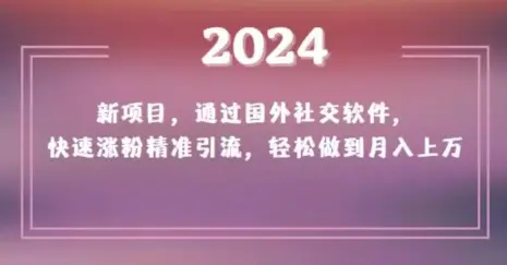 图片[1]-2024新项目，通过国外社交软件，快速涨粉精准引流，轻松做到月入上万【揭秘】