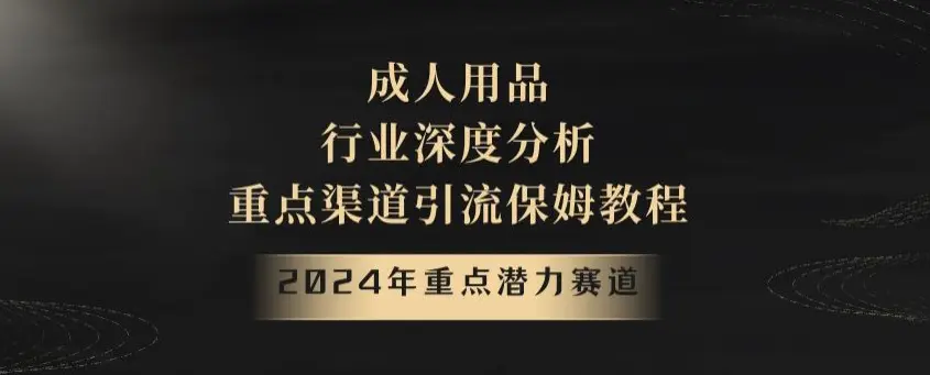 图片[1]-2024年重点潜力赛道，成人用品行业深度分析，重点渠道引流保姆教程【揭秘】