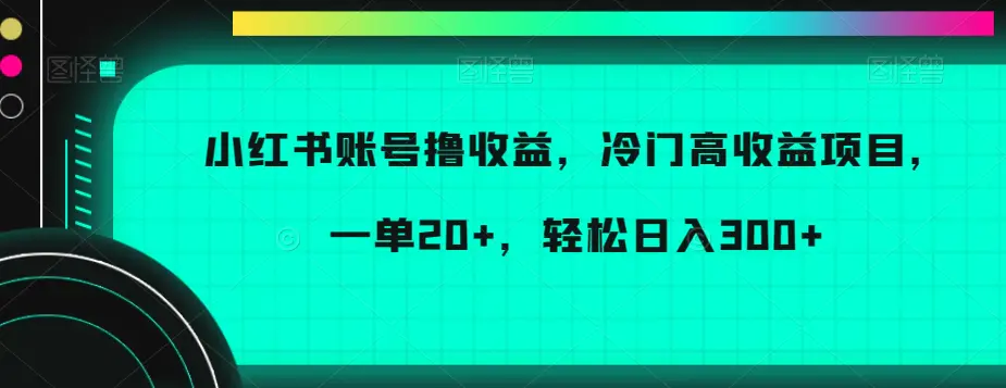 图片[1]-小红书账号撸收益，冷门高收益项目，一单20+，轻松日入300+【揭秘】