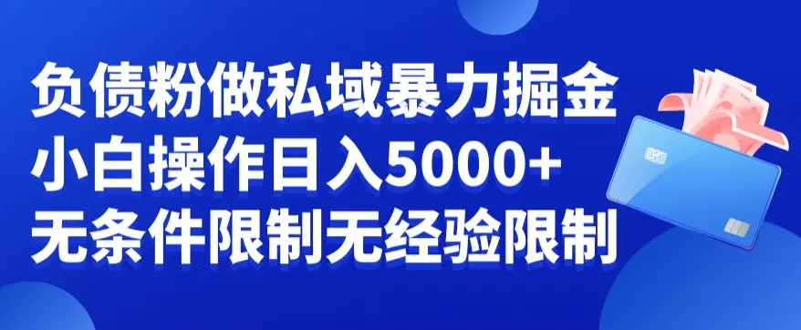 图片[1]-负债粉私域暴力掘金，小白操作入5000，无经验限制，无条件限制【揭秘】