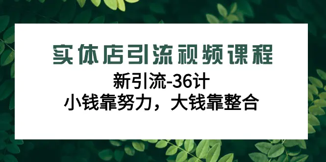 图片[1]-实体店引流视频课程，新引流-36计，小钱靠努力，大钱靠整合（48节-无水印）