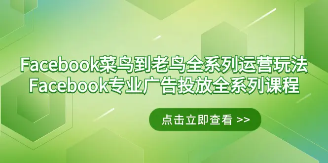 图片[1]-Facebook-菜鸟到老鸟全系列运营玩法+Facebook-专业广告投放全系列课程