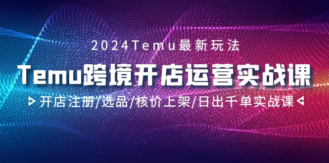 图片[1]-2024Temu跨境开店运营实战课，开店注册/选品/核价上架/日出千单实战课