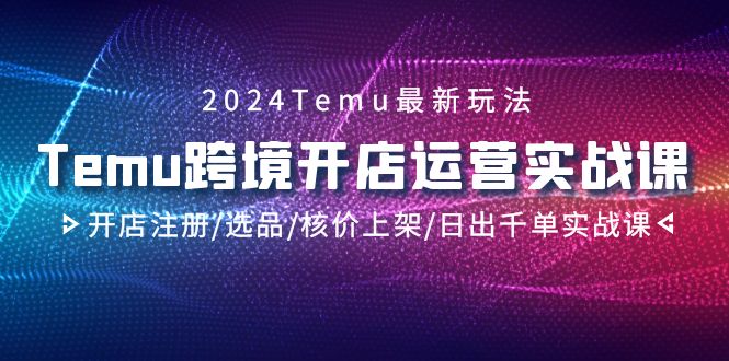 2024Temu跨境开店运营实战课，开店注册/选品/核价上架/日出千单实战课