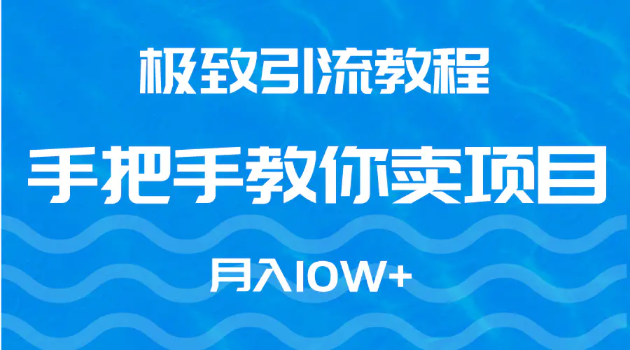 图片[1]-极致引流教程，手把手教你卖项目，月入10W+