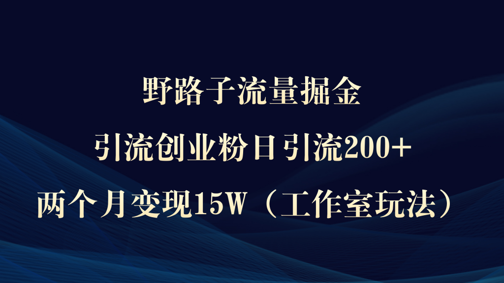 野路子流量掘金,引流创业粉日引流200+,两个月变现15W(工作室玩法))-优选副业网