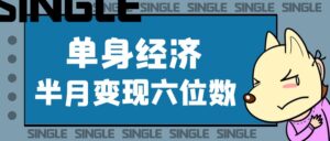 单身经济,半个月变现六位数,完整复盘。【保姆级实操教程】-优创圈
