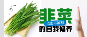 2024年互联网真正能赚钱的方向有哪些?【新人防割指南】-优创圈