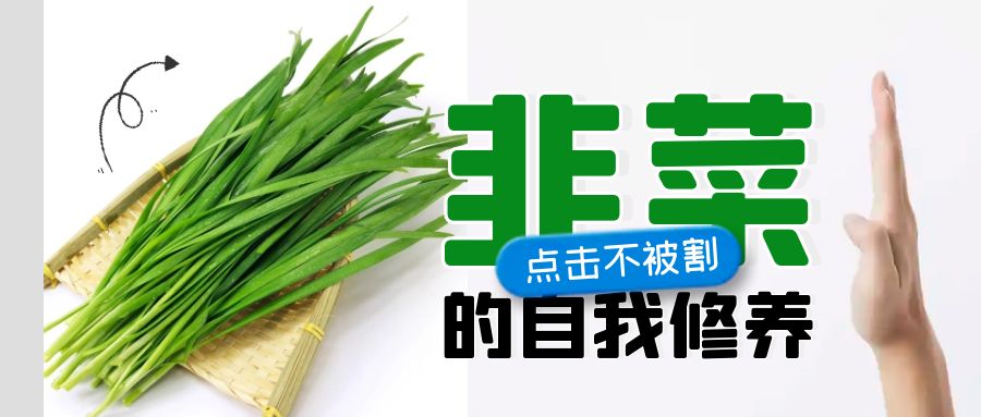 2024年互联网真正能赚钱的方向有哪些？【新人防割指南】-优创圈