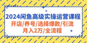 2024闲鱼高级实操运营课程:开店/养号/选择爆款/引流/月入2万/全流程