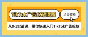TikTok广告投放课程,从0-1实战课,带你快速入门TikTok广告投放(30节课)