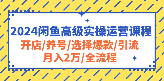 图片[1]-2024闲鱼高级实操运营课程：开店/养号/选择爆款/引流/月入2万/全流程