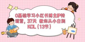 0基础学习小红书博主IP特训营，37天 教你从小白到KOL（13节）