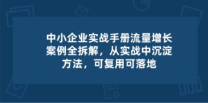中小 企业 实操手册-流量增长案例拆解,从实操中沉淀方法,可复用可落地
