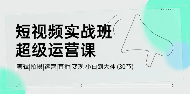 短视频实战班-超级运营课，|剪辑|拍摄|运营|直播|变现 小白到大神 (30节)