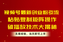 视频号最新创业粉引流，粘贴复制矩阵操作，破播放技术大揭秘，无需经验…