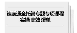 速卖通 全托管专题专项课程，实操 高效 爆单（11节课）