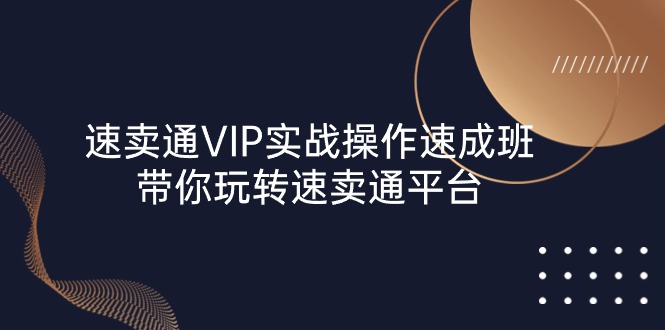 速卖通 VIP实战操作-速成班，带你玩转速卖通平台（23节）