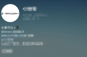 日引流100+，12个低风险小红书引流技【小红书引流技巧】-优创圈