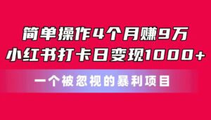 简单操作4个月赚9万!小红书打卡日变现1000+!一个被忽视的暴力项目