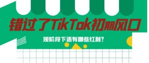 错过了TikTok市场初期风口,现阶段下还有哪些红利?【机遇与风险】-优创圈