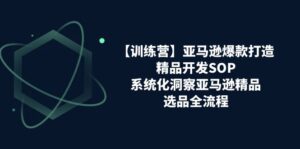 【训练营】亚马逊爆款打造之精品开发SOP,系统化洞察亚马逊精品选品全流程