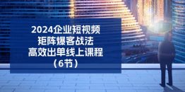 2024企业-短视频-矩阵 爆客战法，高效出单线上课程（6节）