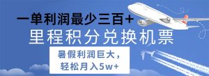 2024暑假利润空间巨大的里程积分兑换机票项目，每一单利润最少500