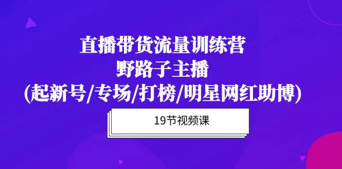 直播带货流量特训营，野路子主播(起新号/专场/打榜/明星网红助博)19节课