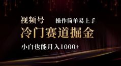 2024视频号冷门赛道掘金，操作简单轻松上手，小白也能月入1000+