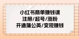 小红书商单赚钱课：注册/起号/涨粉/开通蒲公英/变现赚钱（25节课）