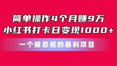 简单操作4个月赚9万！小红书打卡日变现1000+！一个被忽视的暴力项目