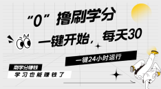 最新刷学分0撸项目，一键运行，每天单机收益20-30，可无限放大，当日即…