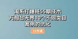 淘系打爆班55期技术：万相台无界10个不同类目案例的优化（10节）