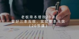 老板 降本增效20讲，管好 三本五效，实现低本高效（20节课）