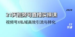 21天-视频号直播实操课，视频号X私域高效引流与转化（22节课）