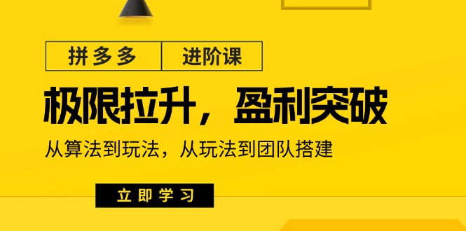 拼多多·进阶课：极限拉升/盈利突破：从算法到玩法 从玩法到团队搭建-18节-亿创圈