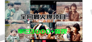 全网爆火的AI让老照片动起来教程,蹭热点日赚3000+,内含免费工具一键…