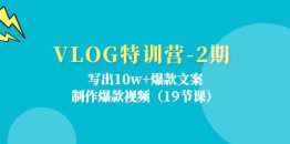 VLOG特训营-2期：写出10w+爆款文案，制作爆款视频（19节课）