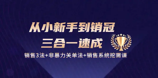 图片[1]-从小新手到销冠 三合一速成：销售3法+非暴力关单法+销售系统挖需课 (27节)