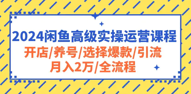 图片[1]-2024闲鱼高级实操运营课程：开店/养号/选择爆款/引流/月入2万/全流程