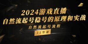 2024游戏直播-自然流起号稳号的原理和实战,自然流起号流程(11节)