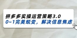 2024_2025拼多多实操运营策略3.0，0~1完美蜕变，解决信息焦虑（38节）