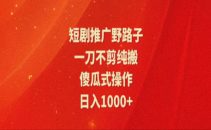 暑假风口项目，短剧推广全新玩法，一刀不剪纯搬运，轻松日入1000+