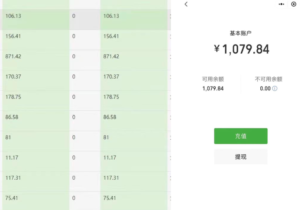 流量掘金项目分享【交友搭子拆解】-优创圈