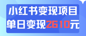 利用小红书卖资料单日引流150人当日变现2610元小白可实操（教程+资料）-优创圈