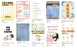 无版权纠纷，长期能赚到年入50W的阳谋【小红书资料号】-优创圈