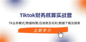 Tiktok财务核算实战营:TK业务模式/数据核算/应收款及毛利/数据下载及报表-优创圈