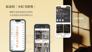 用文案引共鸣的小红书创业IP，变现7位数打法揭秘【小红书变现】-优创圈